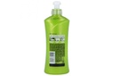 SEDAL CO – CREATIONES ANTI-FRIZZ FRASCO CON 300 ML