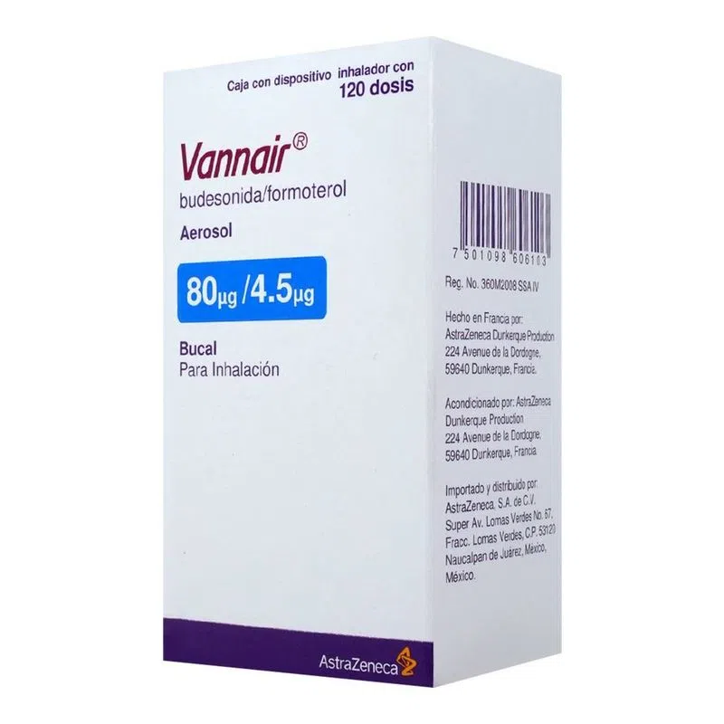 Vannair 80/4.5 Mcg Aerosol 120 Dosis 