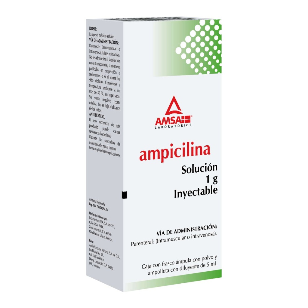 Ampicilina 1 G Solución Inyectable Frasco Ámpula Genérico Amsa