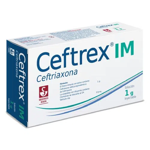 Ceftrex IM Frasco Ámpula 1 G Ampolleta 3.5 Ml 