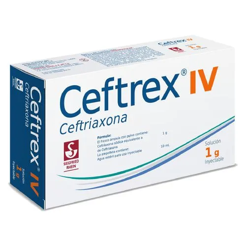 Ceftrex Iv 1 G Frasco Ámpula 10 Ml 