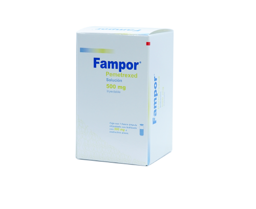 Fampor 500 Mg Sol Iny Fco Amp Caj C/1