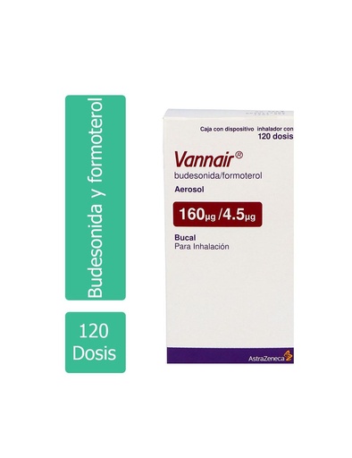 [7501098606127] Vannair 160/4.5 Mcg Aerosol 120 Dosis 